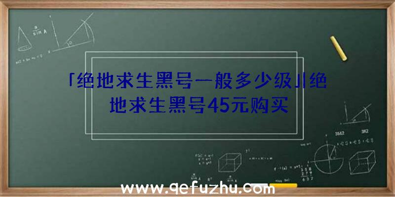 「绝地求生黑号一般多少级」|绝地求生黑号45元购买